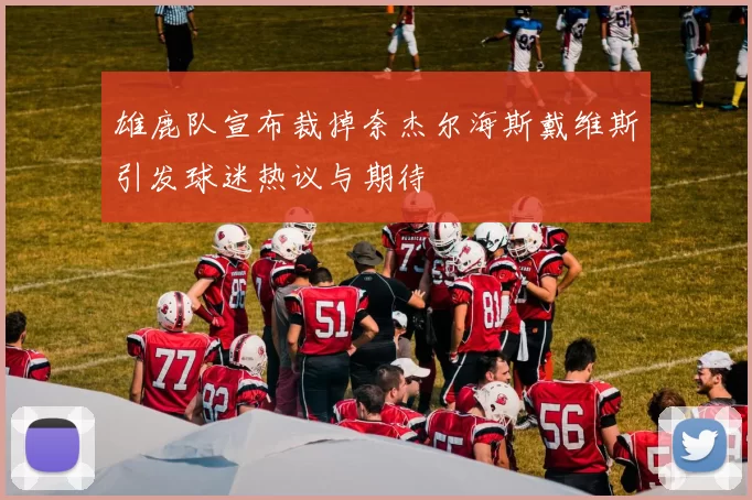 雄鹿队宣布裁掉奈杰尔海斯戴维斯引发球迷热议与期待