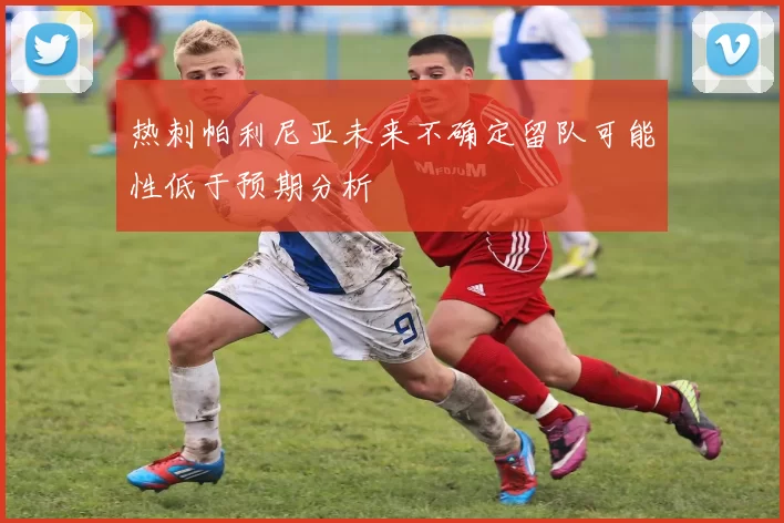 热刺帕利尼亚未来不确定留队可能性低于预期分析