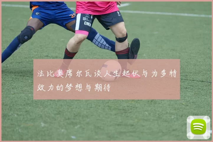 法比奥席尔瓦谈人生起伏与为多特效力的梦想与期待