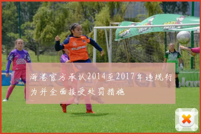 海港官方承认2014至2017年违规行为并全面接受处罚措施